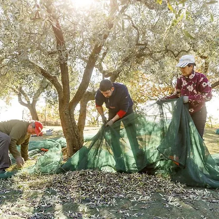 Bauernhof Agricamping Garda Natura