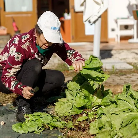 Agricamping Garda Natura Lantgård *