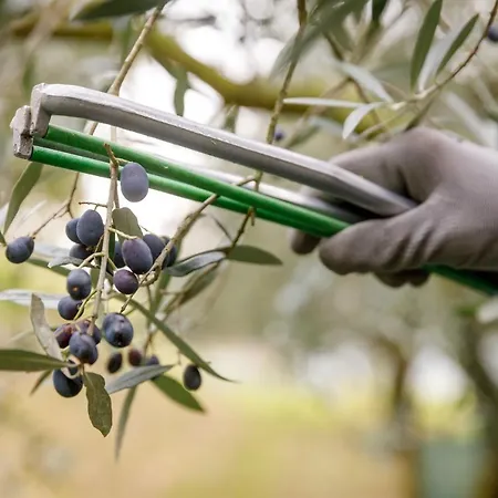 Bauernhof Agricamping Garda Natura *